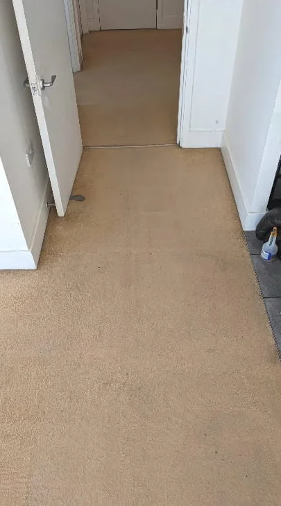 The same hallway carpet after cleaning, even and bright