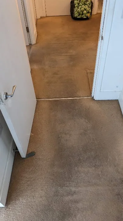 Hallway carpet before cleaning, stained and grubby
