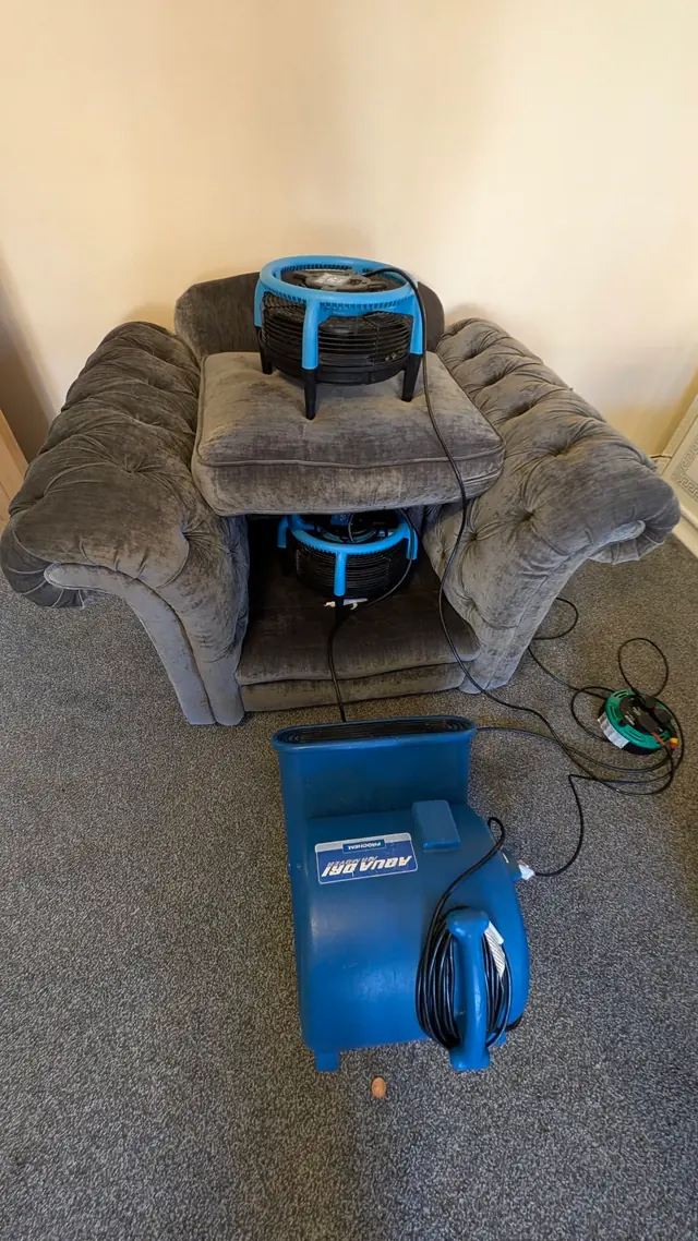 Air mover and extraction machine set up in a living room
