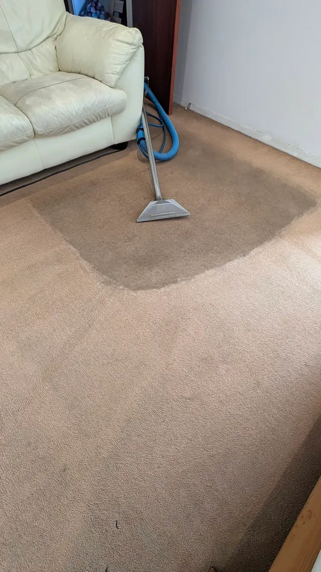 Carpet cleaning wand on a living room carpet, with the cleaned section visibly lighter
